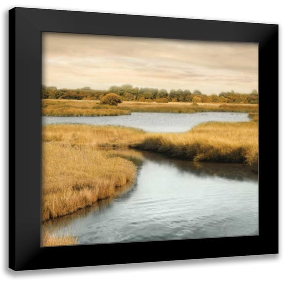 Seba, John 15x15 Black Modern Framed Museum Art Print Titled - Morning Calm II