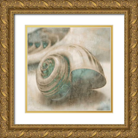 Seba, John 15x15 Gold Ornate Wood Framed with Double Matting Museum Art Print Titled - Coastal Gems II