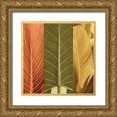 thumbnail image 1 of Seba, John 15x15 Gold Ornate Wood Framed with Double Matting Museum Art Print Titled - Tropical Trio I, 1 of 4