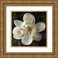 thumbnail image 1 of Seba, John 20x20 Gold Ornate Wood Framed with Double Matting Museum Art Print Titled - Magnolia I, 1 of 4