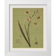 thumbnail image 1 of Seba, John 20x24 White Modern Wood Framed Museum Art Print Titled - Botanica Verde IV, 1 of 4