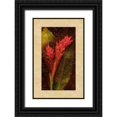 thumbnail image 1 of Seba, John 22x32 Black Ornate Wood Framed with Double Matting Museum Art Print Titled - Ginger, 1 of 4