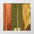 thumbnail image 1 of Seba, John 26x26 White Modern Wood Framed Museum Art Print Titled - Tropical Trio I, 1 of 4