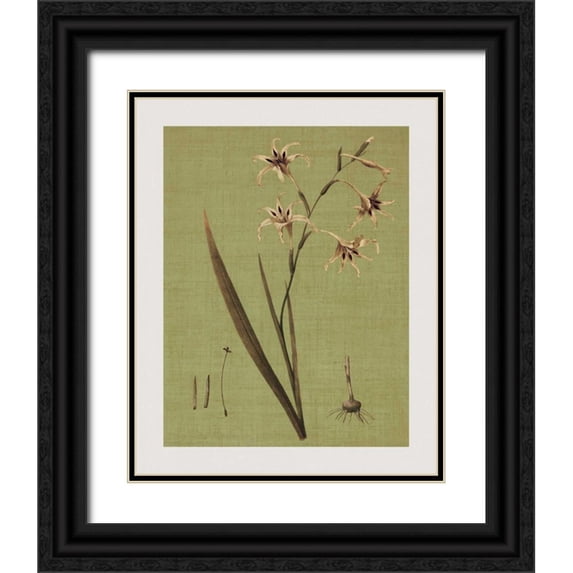 Seba, John 26x32 Black Ornate Wood Framed with Double Matting Museum Art Print Titled - Botanica Verde IV