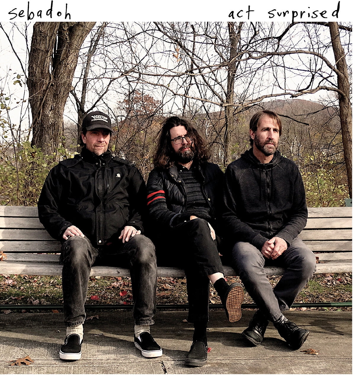 Sebadoh - Act Surprised [VINYL LP] - Walmart.com
