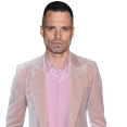 thumbnail image 1 of Sebastian Stan (Pink Suit) Half Body Buddy Cutout, 1 of 4