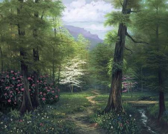 Secluded Path Canvas Art - Egidio Antonaccio (24 x 30)