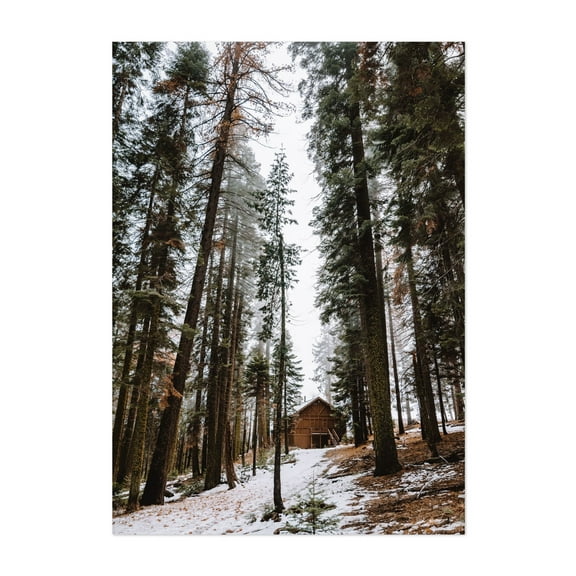 Secluded Serenity in the Frozen Woods - California Photography Forest Winter Nature Snow Scenic Landscape Unframed Wall Art Print 4 x 6 inches