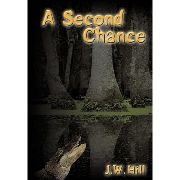 A Second Chance, (Hardcover)