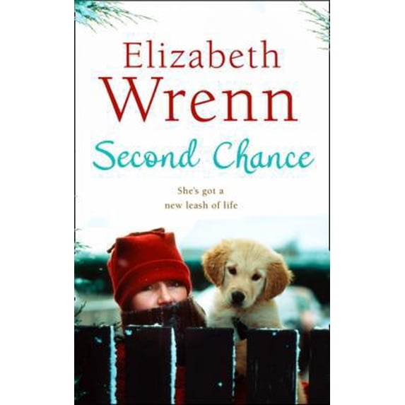 Pre-Owned SECOND CHANCE PB (Paperback) 1847560040 9781847560049