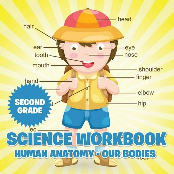 Second Grade Science Workbook: Human Anatomy - Our Bodies, (Paperback)
