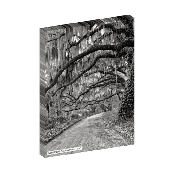 Second Story Collection, Savannah 30x40 Gallery Wrapped Canvas