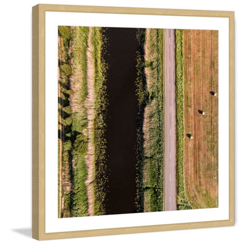 "Secret Between the Rows" by Karolis Janulis Framed Painting Art Print