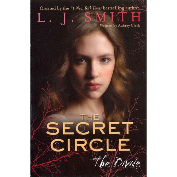 Pre-Owned Secret Circle The Divide, Book 4, (Paperback)