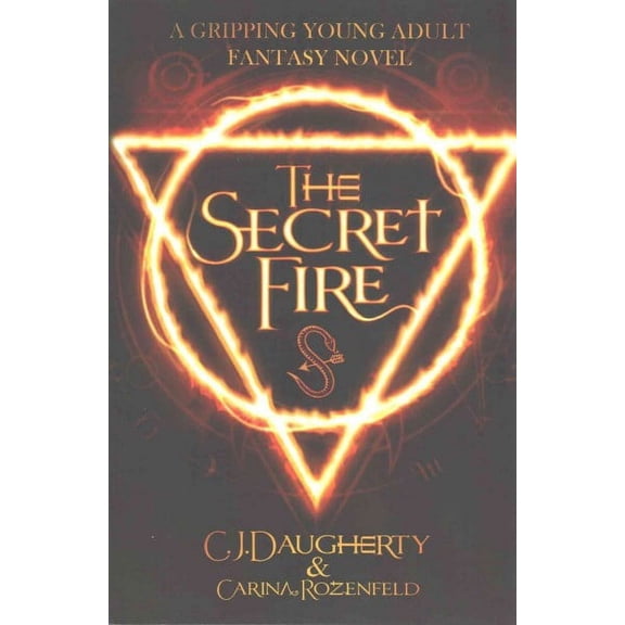 Alchemist Chronicles: The Secret Fire (Paperback)