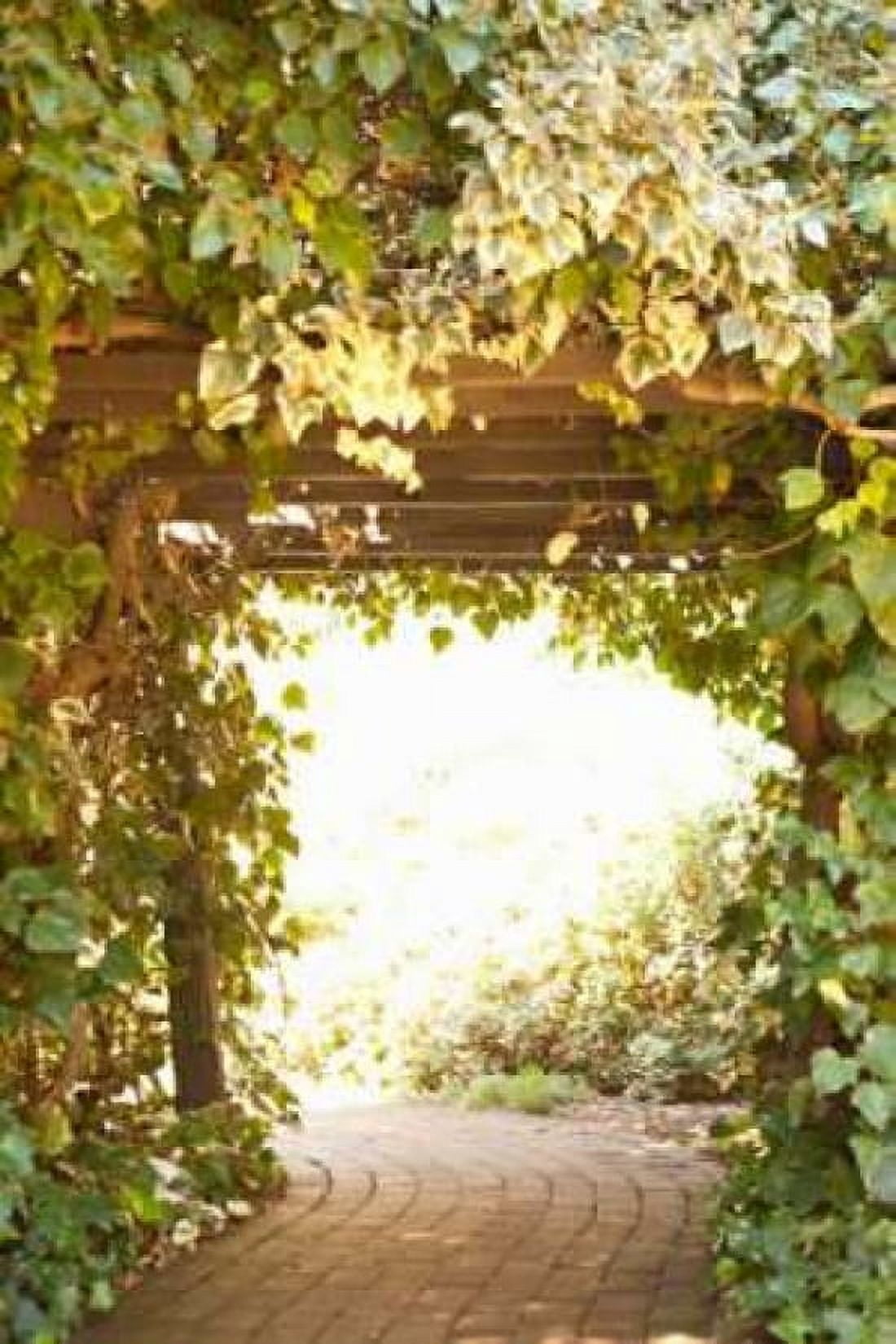 Secret Garden II Canvas Art - Karyn Millet (24 x 36)