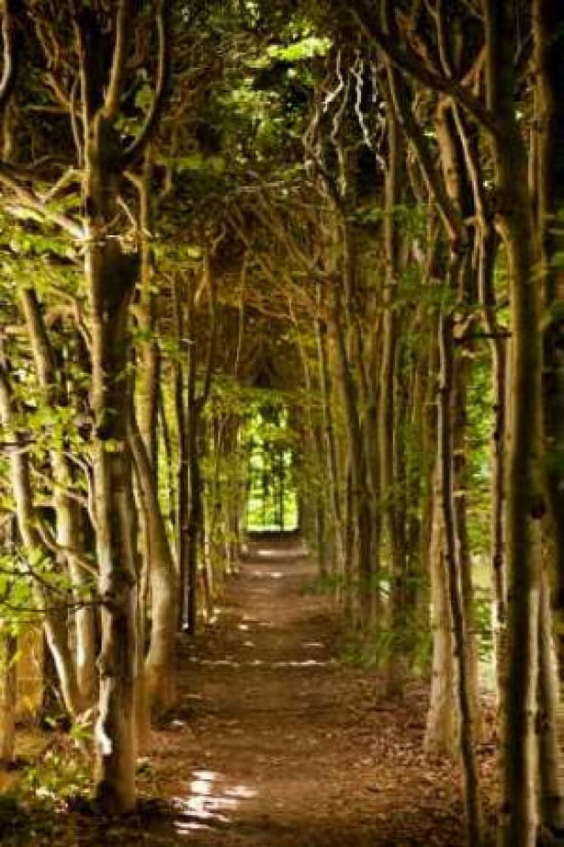 Secret Garden III Canvas Art - Karyn Millet (24 x 36)