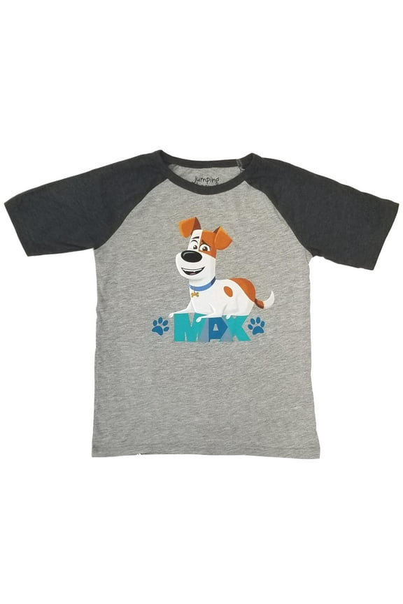 Boys Gray Short Sleeve Max Puppy Dog T-Shirt Tee Shirt 12