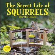 Secret Life of Squirrels Mini Calendar 2027 Mini Scenes, Mega Cuteness, Paperback