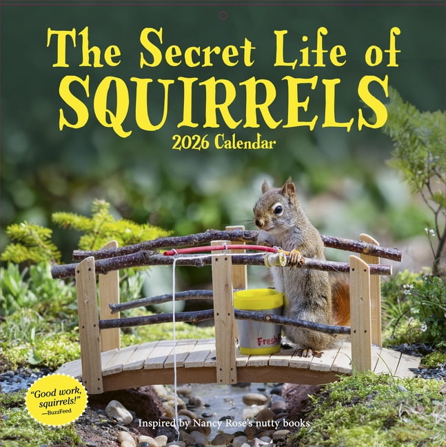 Secret Life of Squirrels Wall Calendar 2026, (Paperback)