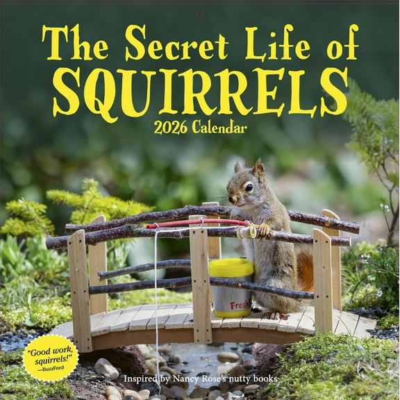 Secret Life of Squirrels Wall Calendar 2026: A Delightfully Nutty Year, (Paperback)