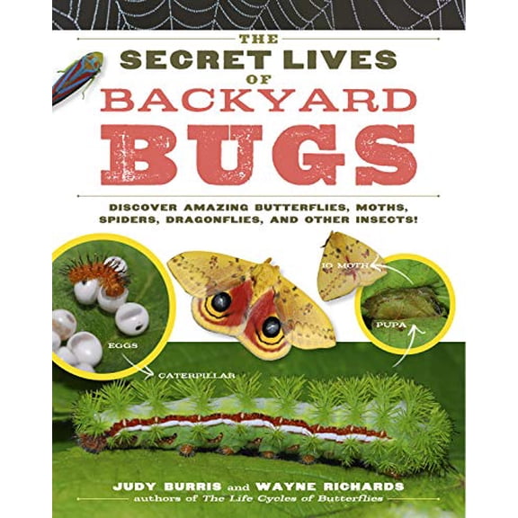 Pre-Owned Secret Lives Of Backyard Bugs: Discover Amazing Butterflies, Moths, Spiders, Dragonflies, And Other Insects! Paperback