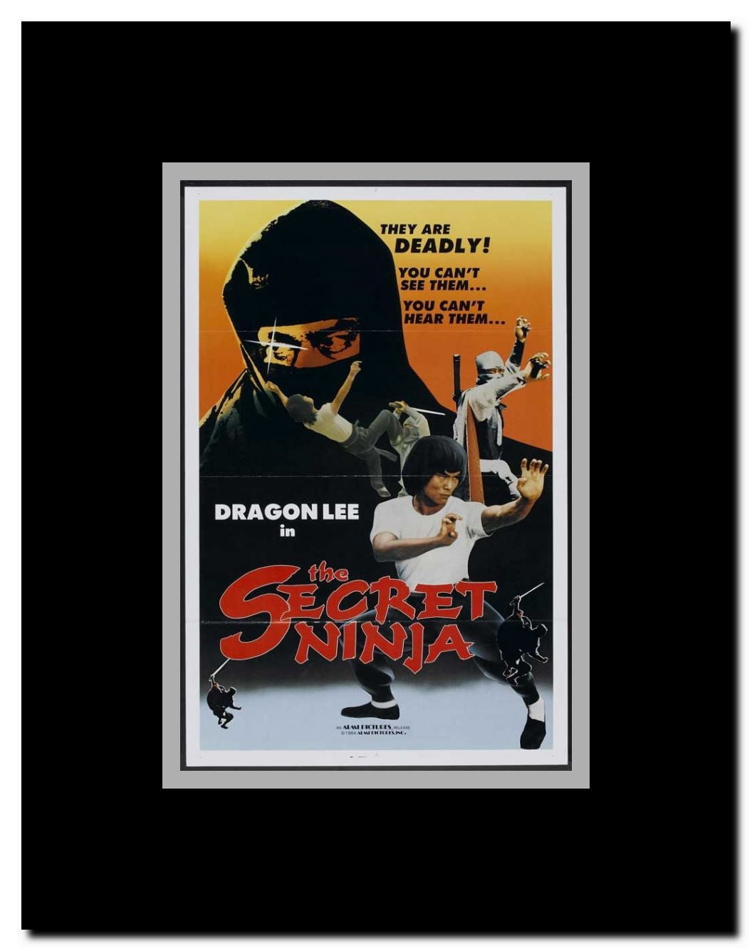 Secret Ninja Framed Movie Poster