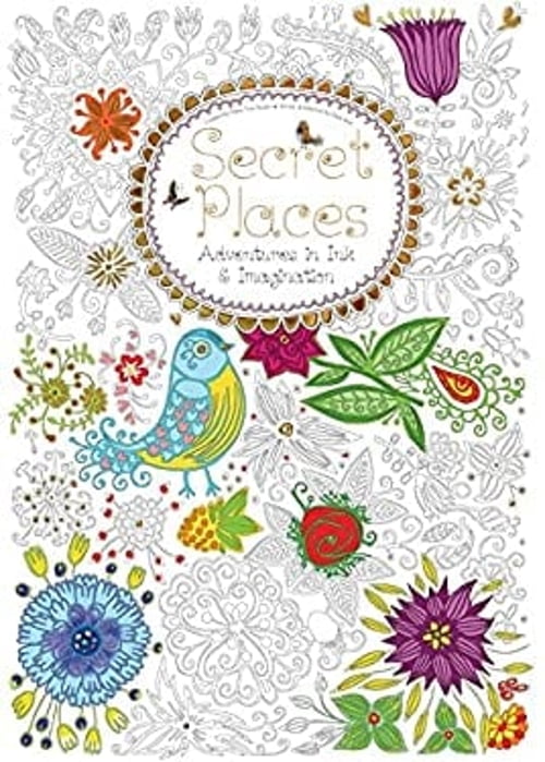 Pre-Owned Secret Places (Colouring Book): Adventures in Ink and ...