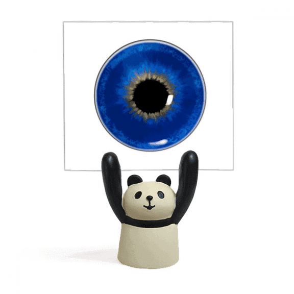 Secret Profound Pupil Eyes Memo Holder Cartoon Animal Panda Stand Decoration