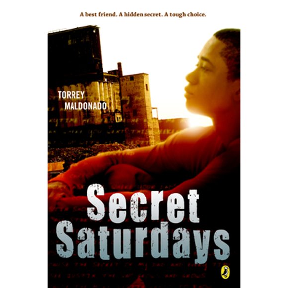 Secret Saturdays (Paperback)