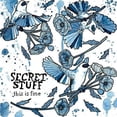 thumbnail image 1 of Secret Stuff - This Is Fine - Music & Performance - Vinyl, 1 of 1