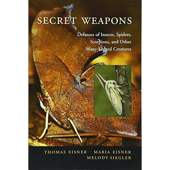 Pre-Owned Secret Weapons: Defenses of Insects, Spiders, Scorpions, and Other Many-Legged Creatures (Paperback) 0674024036 9780674024038