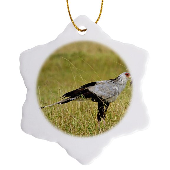 Secretary Bird, Masai Mara Game Reserve, Kenya - Na02 Aje0324 - Adam Jones, 3 inch Snowflake Porcelain Ornament