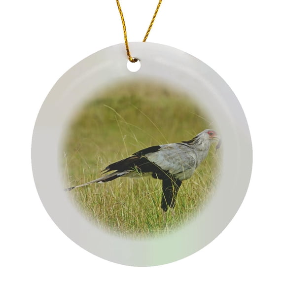 Secretary Bird, Masai Mara Game Reserve, Kenya - Na02 Aje0324 - Adam Jones, Circle Porcelain Ornament