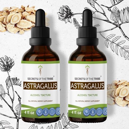 Secrets of the Tribe Astragalus Tincture Dietary Supplement, Natural Herbal Extract for Immune Support, Astragalus (Astragalus membranaceus) Dried Root, Alcohol Extract, Drops 2x4 oz