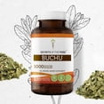 thumbnail image 1 of Secrets Of The Tribe Buchu Capsules Dietary Supplement, Natural Herbal Capsules for Urinary Health Support, Buchu (Agathosma Betulina) Dried Leaf, 120 Capsules, 1 of 6