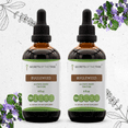thumbnail image 1 of Secrets Of The Tribe Bugleweed Tincture Dietary Supplement, Natural Herbal Extract for Hormonal Balance Support, Bugleweed (Ze Lan, Lycopus virginicus) Dried Herb, Alcohol Extract, Drops 2x4 oz, 1 of 6