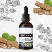 Secrets Of The Tribe Burdock Organic Tincture Dietary Supplement, Natural Herbal Extract for Detox Support, Certified Organic Burdock Arctium lappa Dried Root, Alcohol-Free Extract, Drops 2 oz