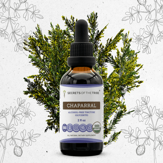 Secrets Of The Tribe Chaparral Organic Dietary Supplement, Natural Herbal Tincture for Detox Support, Certified Organic Chaparral (Larrea tridentata) Dried Leaf and Flower, Alcohol-Free Extract, 2 oz
