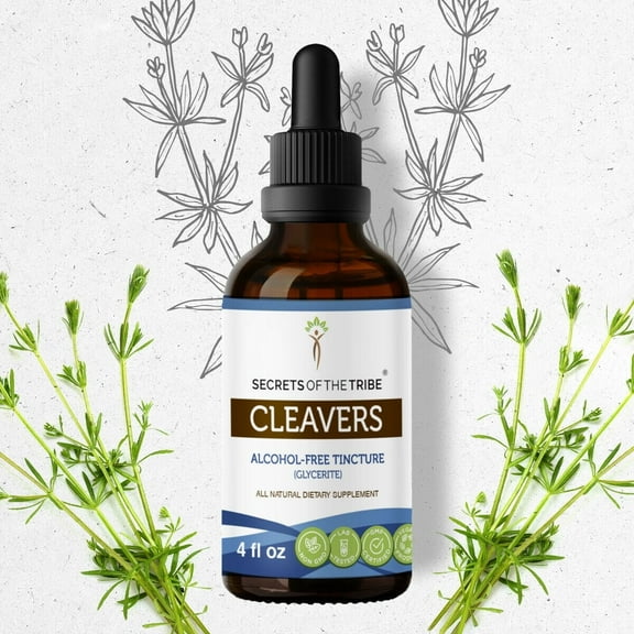 Secrets Of The Tribe Cleavers Tincture Dietary Supplement, Natural Herbal Extract for Urinary Support, Cleavers (Galium aparine) Dried herb, Alcohol-Free Extract, Drops 4 oz