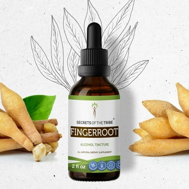 Secrets Of The Tribe Fingerroot Tincture Dietary Supplement, Natural Herbal Extract for Digestive Health Support, Fingerroot (Boesenbergia rotunda) Dried Root, Alcohol Extract, Drops 2 oz