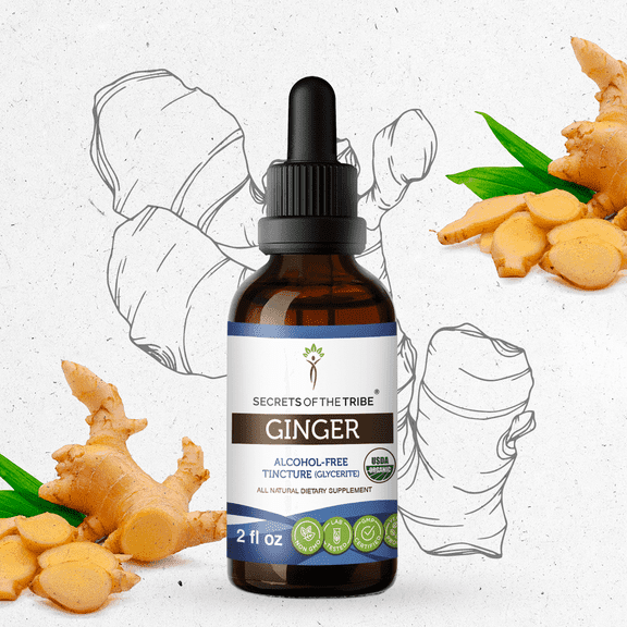 Secrets Of The Tribe Ginger Organic Tincture Dietary Supplement, Natural Herbal Extract for Digestive Support, Certified Organic Ginger (Zingiber officinale) Dried Root, Alcohol-Free Extract, 2 oz
