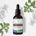 thumbnail image 1 of Secrets Of The Tribe Horehound Tincture Dietary Supplement, Natural Herbal Extract for Respiratory Health Support, Horehound (Marrubium vulgare) Dried Herb, Alcohol-Free Extract, Drops 2 oz, 1 of 6