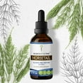thumbnail image 1 of Secrets Of The Tribe Horsetail Tincture Dietary Supplement, Natural Herbal Extract for Urinary Tract Support, Horsetail (Equisetum arvense) Dried Herb, Alcohol-Free Extract, Drops 2 oz, 1 of 6