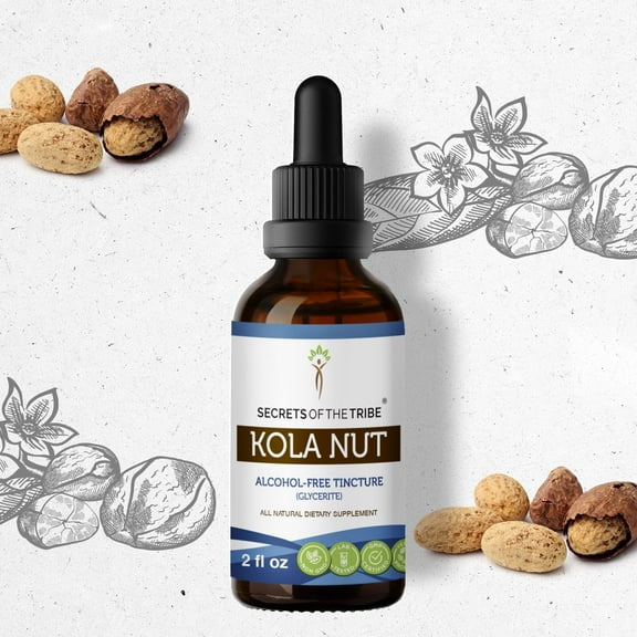 Secrets Of The Tribe Kola Nut Tincture Dietary Supplement, Natural Herbal Extract for Energy Support, Kola nut (Cola acuminate) Dried Nut, Alcohol-Free Extract, Drops 2 oz