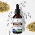 thumbnail image 1 of Secrets Of The Tribe Oatstraw Tincture Dietary Supplement, Natural Herbal Extract for Stress Support, Oatstraw (Avena sativa) Dried Tops, Alcohol-Free Extract, Drops 2 oz, 1 of 5