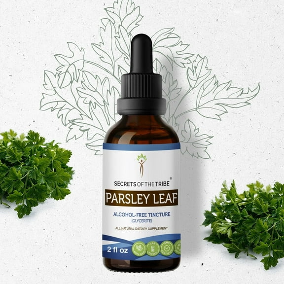 Secrets Of The Tribe Parsley Leaf Tincture Dietary Supplement, Natural Herbal Extract for Immune System Support, Parsley (Petroselinum crispum) Dried Leaf, Alcohol-Free Extract, Drops 2 oz