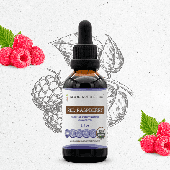 Secrets Of The Tribe Red Raspberry Organic Dietary Supplement, Natural Herbal Tincture for Women’s Support, Certified Organic Red Raspberry (Rubus idaeus) Dried Leaf, Alcohol-Free Extract, Drops 2 oz