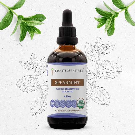 Secrets Of The Tribe Spearmint Organic Tincture Dietary Supplement, Natural Herbal Extract for Digestive Support, Certified Organic Spearmint (Mentha spicata) Dried Leaf, Alcohol-Free Extract, 4 oz