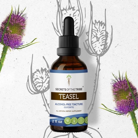 Secrets Of The Tribe Teasel Tincture Dietary Supplement, Natural Herbal Extract for Joint Support, Teasel (Dipsacus fullonum, Dipsacus sylvestris) Dried Root, Alcohol-Free Extract, Drops 2 oz